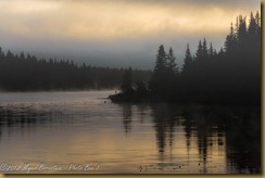 Morning Fog