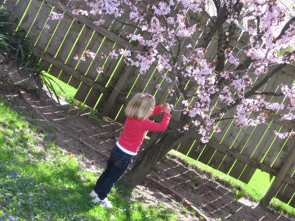 [IMG_2313%255B8%255D.jpg]