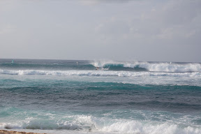 DSC_0887.JPG