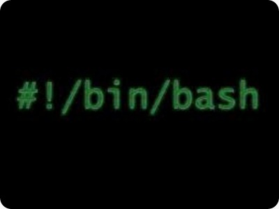 bin bash bin bash