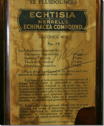 echinacea