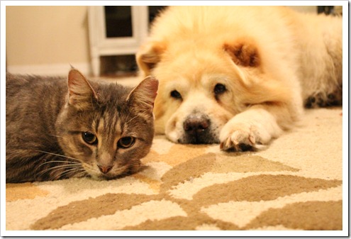 IMG_0106 IMG_0106