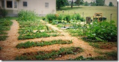 Raised beds 1a