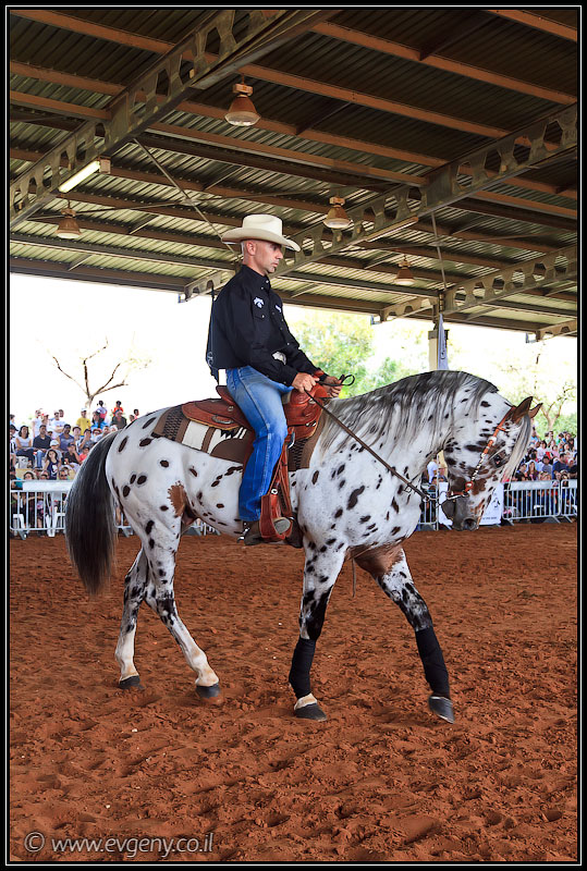 il/Фото: Stallion Show 2011 (20110416 stllion show 051 2168)