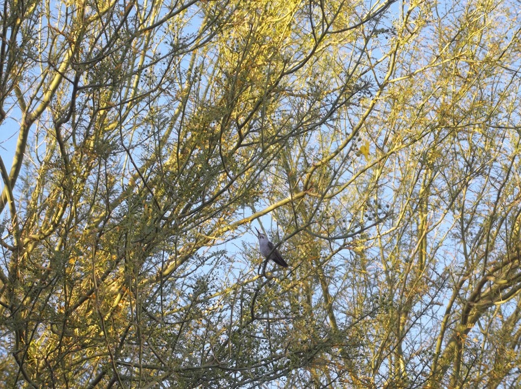 [100_1918%255B4%255D.jpg]