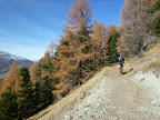 P1020143.JPG