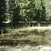 bagna dsc06296.jpg