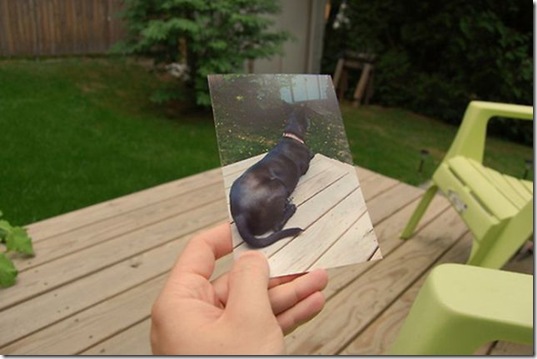 old-photos-present-day-9