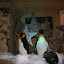 IMG_1148.JPG