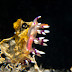 P7225732