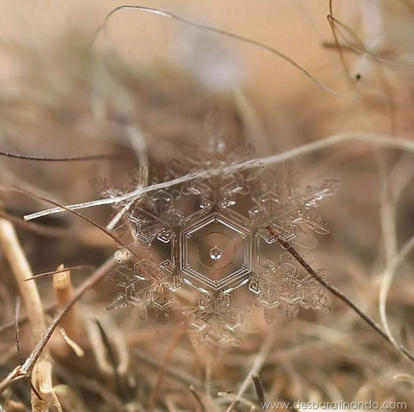 flocos-de-neve-macro-snowflakes-macro-photography-andrew-osokin-desbaratinando (1) flocos-de-neve-macro-snowflakes-macro-photography-andrew-osokin-desbaratinando (1)