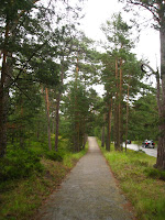 IMG_1697.JPG Photo