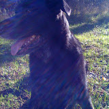 Conel Bob 042.JPG