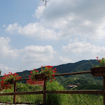 DSC_7595_800x536.JPG