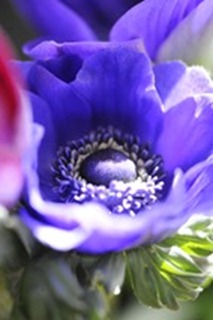 20120223_100450