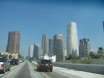 IMG_7827.JPG