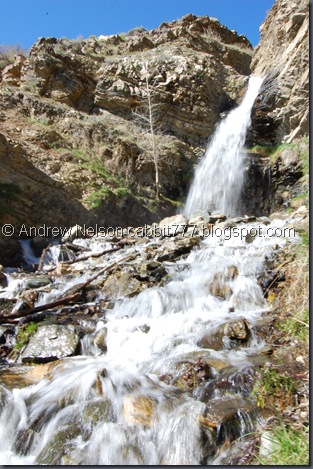 DSC_0909 DSC_0909