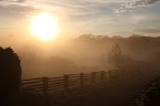 Francesca!  You really need to see this sunrise over our empire.