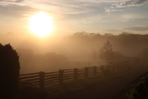 Francesca!  You really need to see this sunrise over our empire.