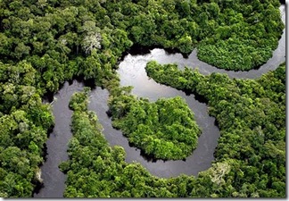 amazon-river amazon-river