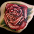 010110rose.jpg