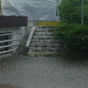 191-dazd-01.jpg