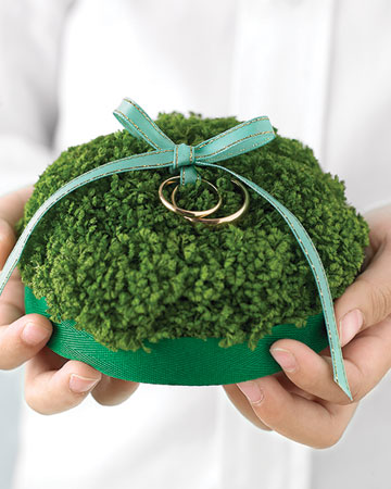 Rings tied with a turquoise bow, on a sweet emerald arrangement. (http://www.marthastewartweddings.com/) Rings tied with a turquoise bow, on a sweet emerald arrangement. (http://www.marthastewartweddings.com/)