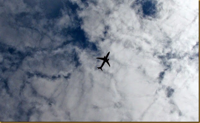 IMG_0274 IMG_0274