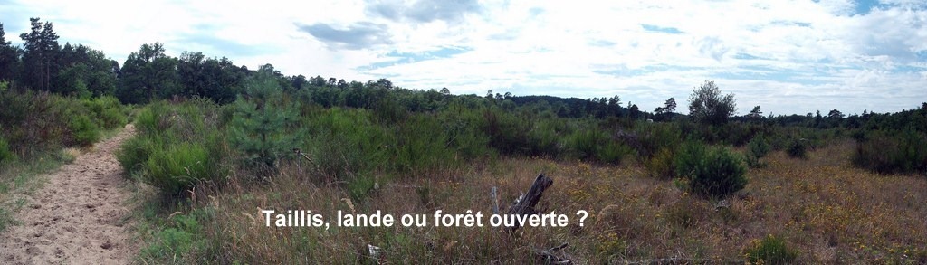 [route%2520Pompadour%2520Panorama%255B2%255D.jpg]