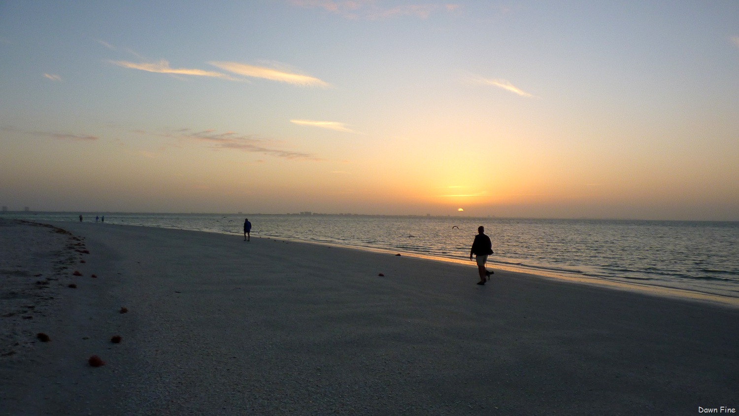 [morning-sanibel_00810.jpg]