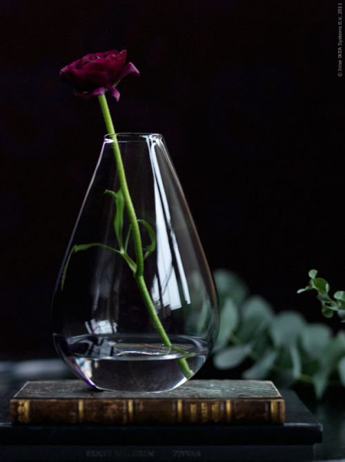 [ikea_simple_floral_arrangement%255B3%255D.png]