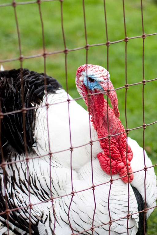 [20120728-IMG_75203.jpg]