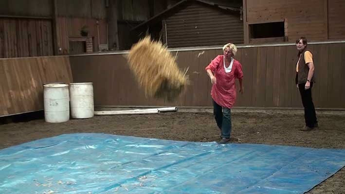 [20130907150252-%25281%2529%255B2%255D.jpg]