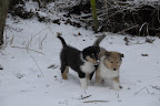 _DSC0021.JPG