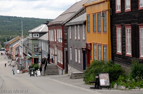 _DSC0449r _DSC0449r