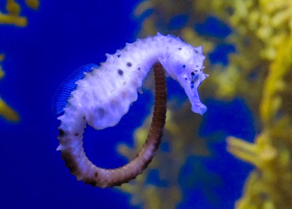 [DSC_0029%255B4%255D.jpg]