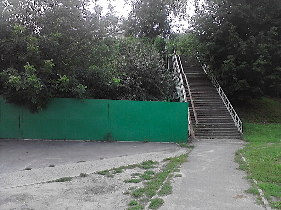 P300711_11.45.jpg