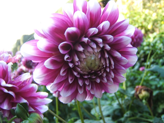 [271%255B3%255D.jpg]