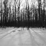 100_0025.JPG