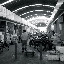 Shanghai - Marché poisson - Le marché couvert