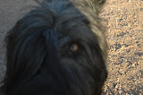 Blog - 2012 - DiamondT 5/7