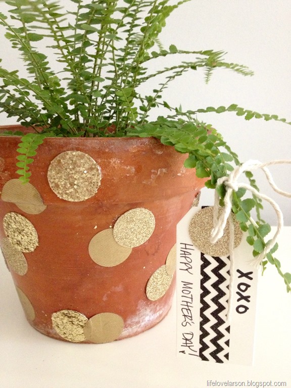 [polka-dot-pot-24.jpg]