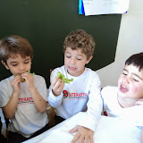 DSC03447.JPG