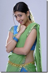 pranitha_side view_in saree