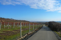 P1090754.JPG