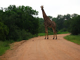 South Africa - 049.JPG