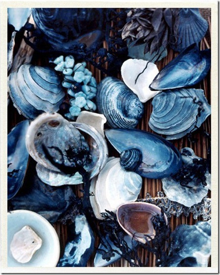 blue shells from Slim Paley blue shells from Slim Paley