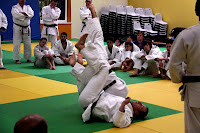IMG_5791.JPG