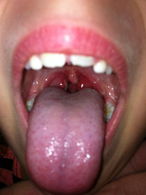 IMG_1769 IMG_1769