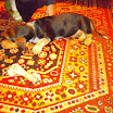 DSCN2489.JPG